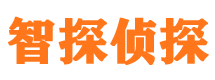 平塘市私家侦探